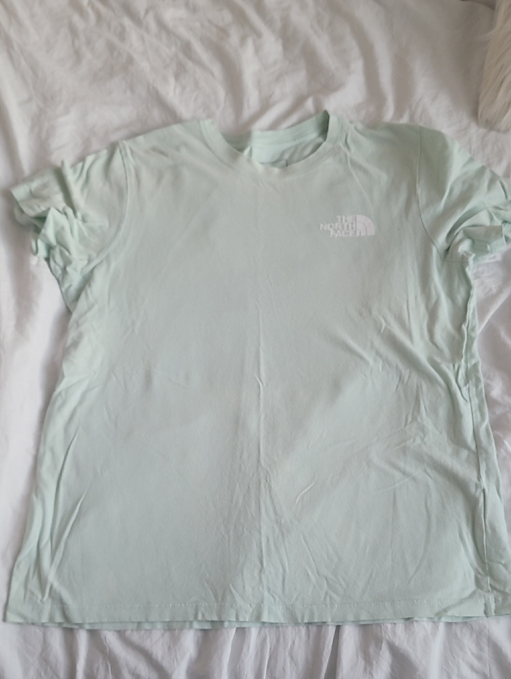 The North Face Mint Green Crew Tee